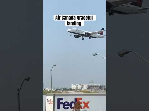 Air Canada graceful landing in Toronto Pearson airport #aircanada #aviation #yyzplanespotting