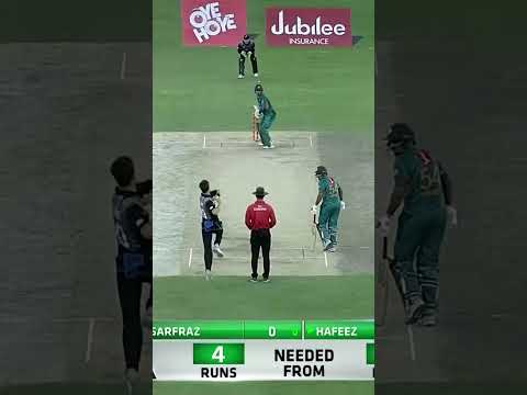 Mohammad Hafeez's Little Cameo #PAKvNZ #Shorts #SportsCentral #PCB M3L1F