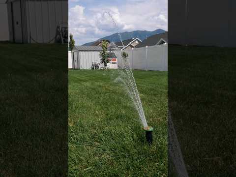 Irrigreen Sprinkler System 3-Month Update #ad @irrigreensprinklers