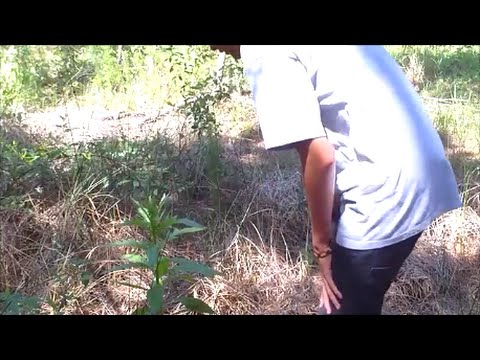 First Marijuana Overdose Kid Filming Man VS Wild Parody Dies 2014