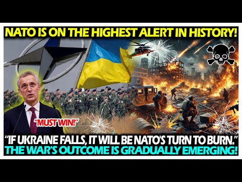 NATO is on the highest alert in history! “If Ukraine falls, it will be NATO's turn to burn.”