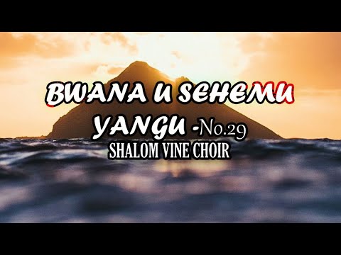 BWANA UU SEHEMU YANGU-SHALOM VINE SINGERS (OFFICIAL AUDIO)WIMBO WA WOKOVU