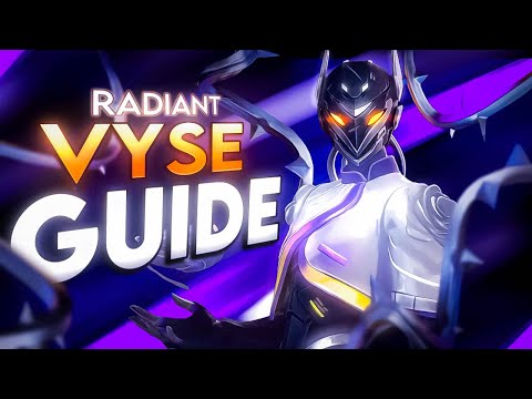 The Ultimate Guide to Vyse