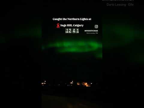 Caught Northern Lights in Calgary 🇨🇦#shorts #calgary #calgarylife #northernlights #canadavlogs