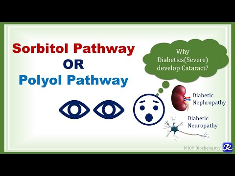 21: Sorbitol or Polyol Pathway | Carbohydrate Metabolism | Biochemistry | N'JOY Biochemistry