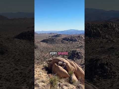 Awesome abandoned mine exploration! 😮 #EagleCliff #RVLIFE #hiking