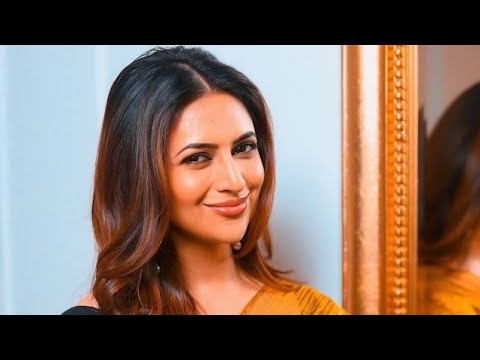 Divyanka Tripathi's journey