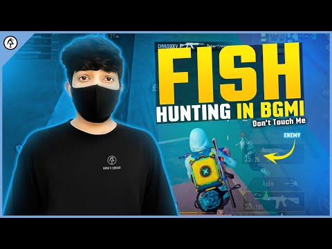 BGMI Fish | Hunting Don't Touch Me | 4 Finger + Gyroscope | BATTLEGROUNDS MOBILE INDIA