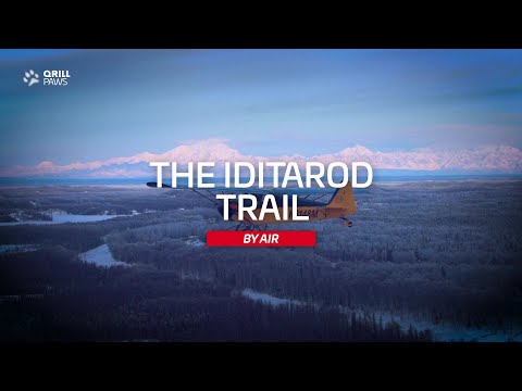 The Iditarod Trail By Air | QRILLPAWS 2021