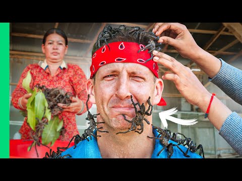 Tarantula Catch and Cook!! 10 Levels of Bug Eating in Asia!!