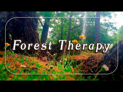 Fresh Morning Ambience Deep in the Forest🌳Positive Energy of Healing Forest Sounds & Birds Singing#2