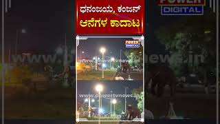 Mysore Dasara Elephants : ಊಟದ ವೇಳೆ ಧನಂಜಯ, ಕಂಜನ್ ಆನೆಗಳ ಕಾದಾಟ | Dasara 2024 | Palace | Power TV News