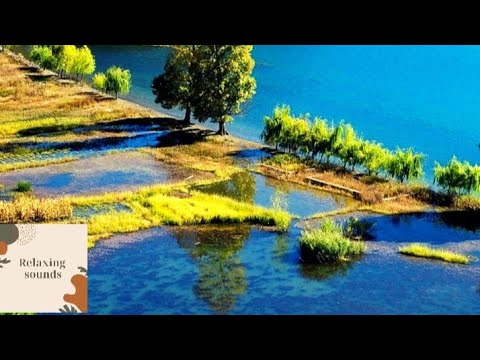 SOOTHING |CALMING| HEALING NATURE SOUND