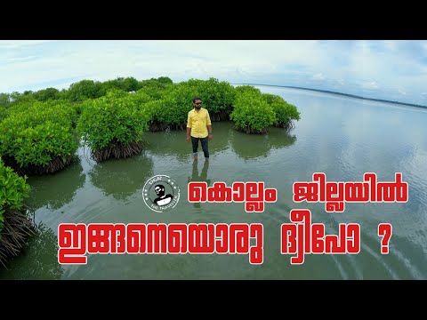 MARYLAND MANGROVE ISLAND KOLLAM II SAKTHIKULANGARA II ISLAND IN KOLLAM DISTRICT