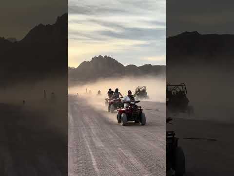 Quad biking in the Egyptian desert #quadbike #egypttravel