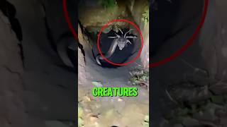 Top 5 Terrifying Mythical Creatures Caught On Camera😱