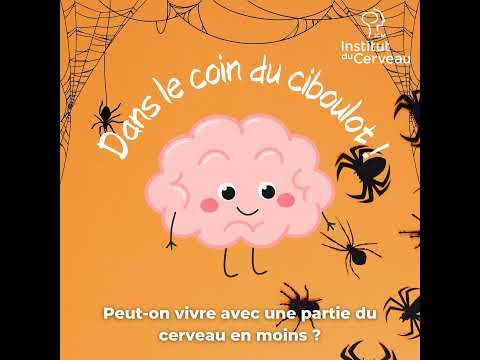 Peut-on vivre avec une partie du cerveau en moins ?