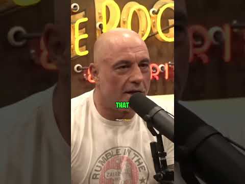 Joe Rogan and Elon Musk About Wild Intelligence of Chim #joerogan #joeroganexpereince #elonmusk