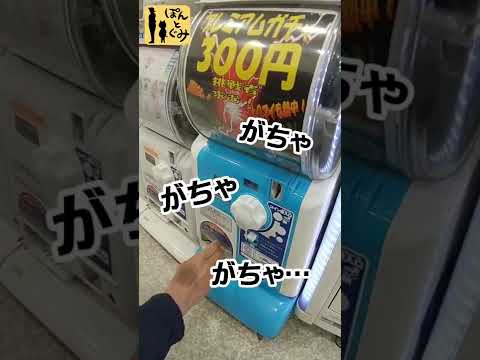 【ぽんとぐみ】300円のプレミアムガチャはYouTuber必見！