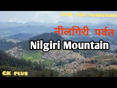 नीलगिरी पर्वत | Nilagiri |  Mountain | Nilgiri Mountain | gk plus