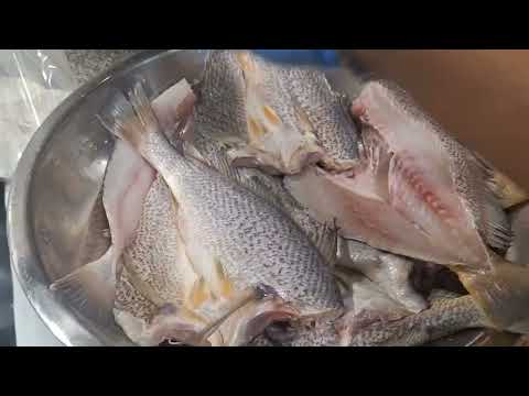 SEASONING  &  FRYING FISH AGAIN!!( CROAKER)