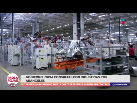 Gobierno de México inicia consultas con industrias afectadas por los aranceles | DPC con Paola Rojas