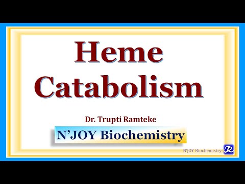 Heme catabolism | Hemoglobin Chemistry & Metabolism | Biochemistry | @NJOYBiochemistry