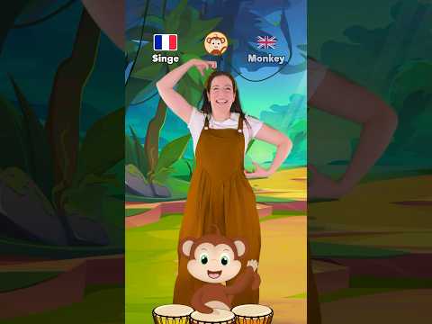 Les animaux de petit singe en français et en anglais #dance #enfants #kids #english #french