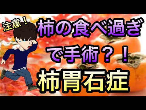 【医師解説】柿の食べ過ぎに注意！柿胃石症について　意外な治療法も紹介！