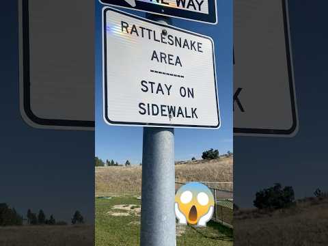 Rattlesnakes at a rest area? 😰🐍 #rvlife #ftrvliving #theborderhookups