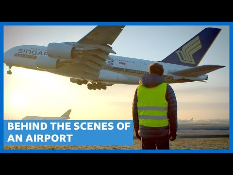 Behind The Scenes At An Airport | BBC Earth Science