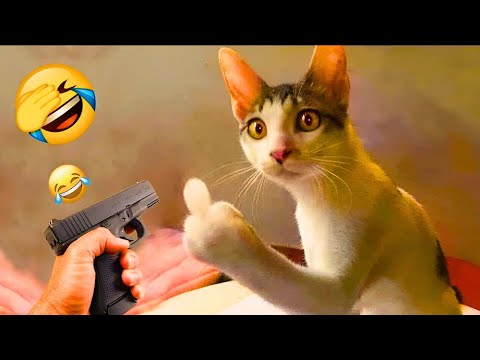 FUNNY ANIMALS COMPILATION 2025 | Laugh Out Loud! 😂