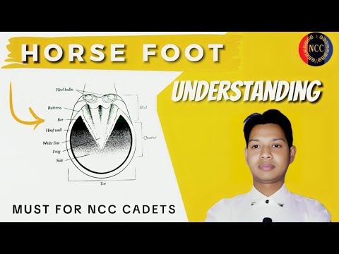 Horse Foot||RVC NCC||Birender sir #viral #education #horseriding #Ncc#bvacademy