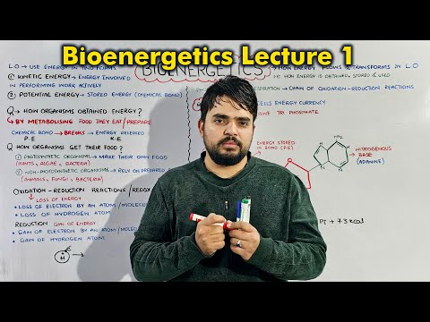 Class 9th Chapter 7: Bioenergetics Introduction