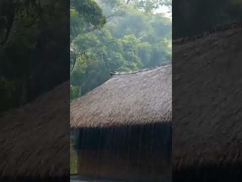 rain sounds for sleepthe sound of rainrain and thund