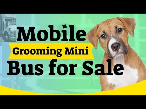 Mobile Grooming Mini Bus For Sale - Mobile Pet Dog Grooming Van Bus For Sale