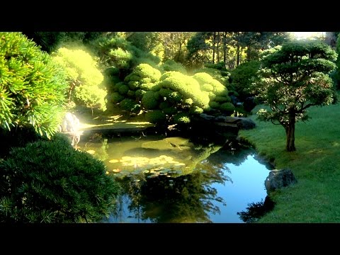 Zen Garden - Infinite Bliss - Nature Sounds Only- (No Music)