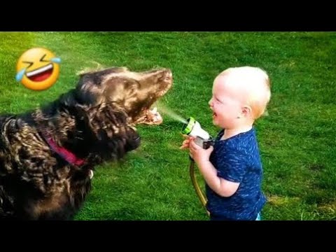 Cats Vs Dogs Funny videos daily | New Funny Videos 2025 | Try Not to Laugh 🤣🤣🤣