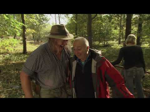 Time Team | Rooting For The Romans | Series 17 | HD |