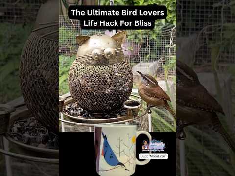 The Ultimate Bird Lovers Hack For Bliss House Wren Watching birdwatching #birdfeeding #cupofmood