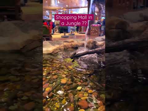 😳 Shopping Mall in a Jungle??🇨🇦 #shorts #canadalife #canadavlogs #alberta #calgary #lifeincanada