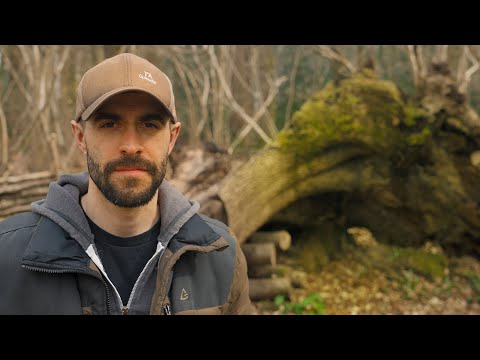 Owning a Woodland: Day 1 to Day 365 - An amazing experience