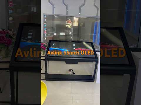 Avlink 55inch OLED display touch screen Windows operating system interactive transparent table