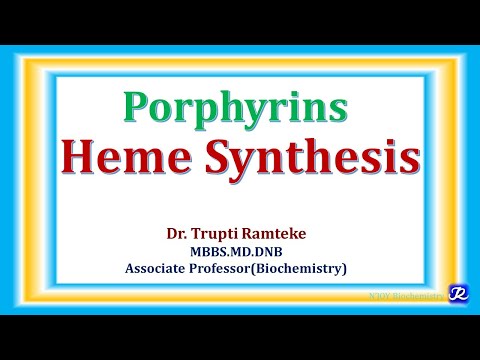 Porphyrins & Heme Synthesis | hemoglobin Chemistry & Metabolism | Biochemistry | @NJOYBiochemistry