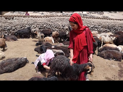 Most remote villages in the world | their nomadic life | Village Life