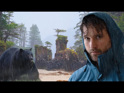 Camping with Bears in the Rainiest Place in North America