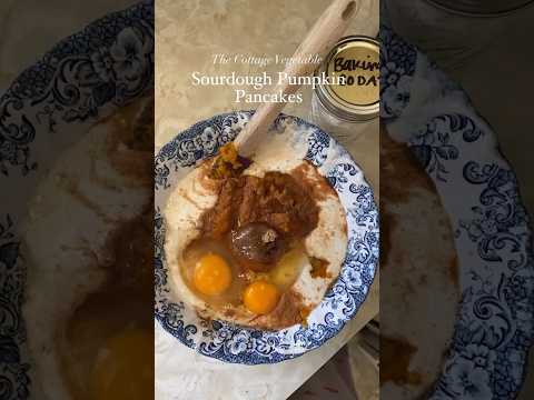 Sourdough Pumpkin Pancakes 🥞 A kid favorite in my home ✨ recipe in comments