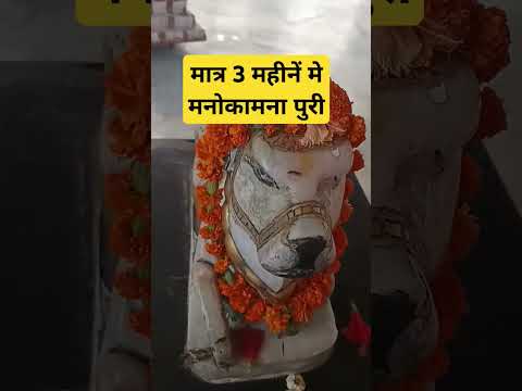 #एक बार नन्दी जी के पास जा कर ये मन्त्र का जाप करे तीन महीने मे मनोकामना पूरी#panditpradeepjimishra