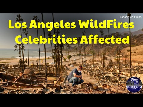 Los Angeles Wildfires Destroy Celebrity Homes, "Anora" and "Mufasa" Movie Reviews