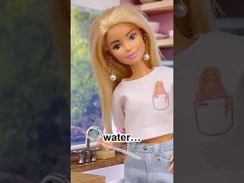 The Most Realistic Barbie Doll Kitchen!